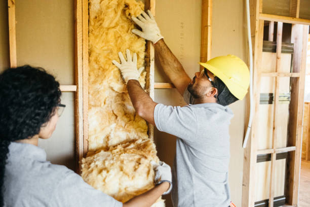 Best Wall Insulation Installation  in Edgewood, OH